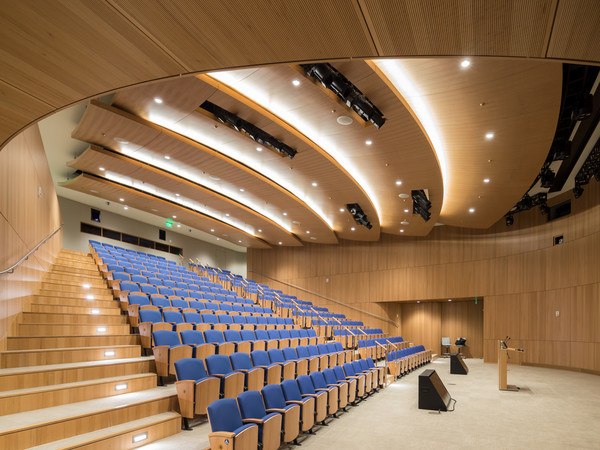 This beautiful auditorium features curved acoustic paneling of quartered Elm. The ceiling was very technical although it is made to look like light layers of clouds. Extensive modeling was essential to meet the acoustic requirement and to coordinate the complex mechanical, electrical and AV specifications